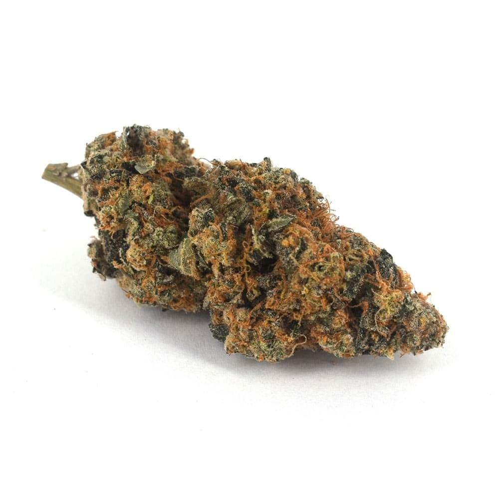 Lemon Shiv (TOP SHELF)