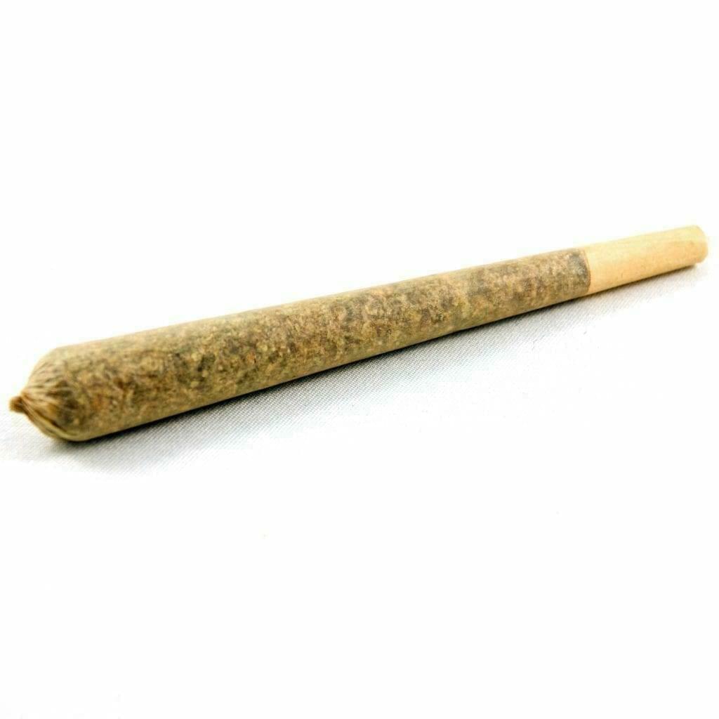 Exotic house Prerolls