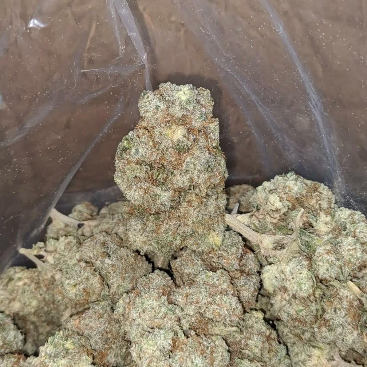 Exotic- White Russian