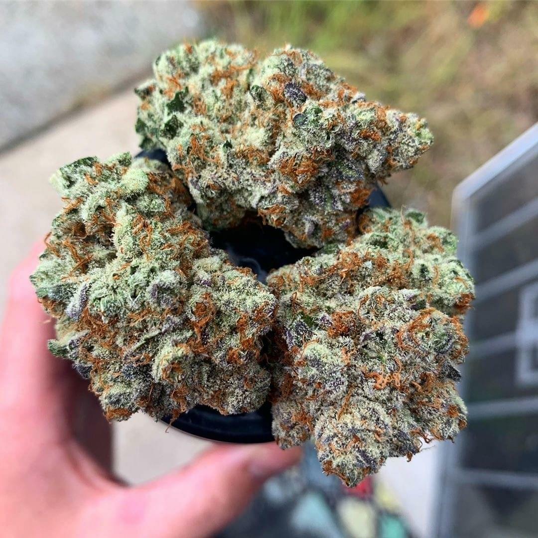 Death Star (TOP SHELF)
