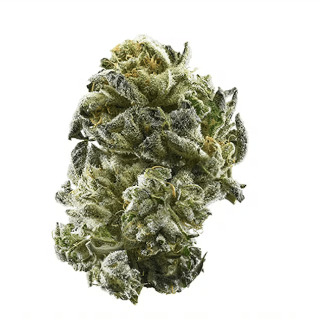 GIRL SCOUT COOKIES (GSC)