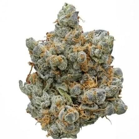 Bubblegum Gelato (Designer)