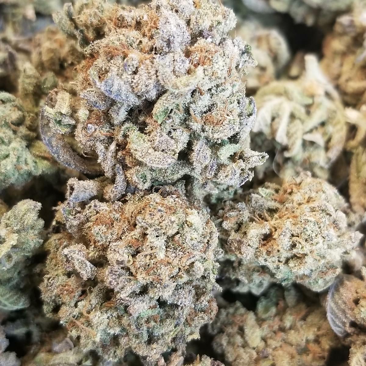 Girl Scout Cookies