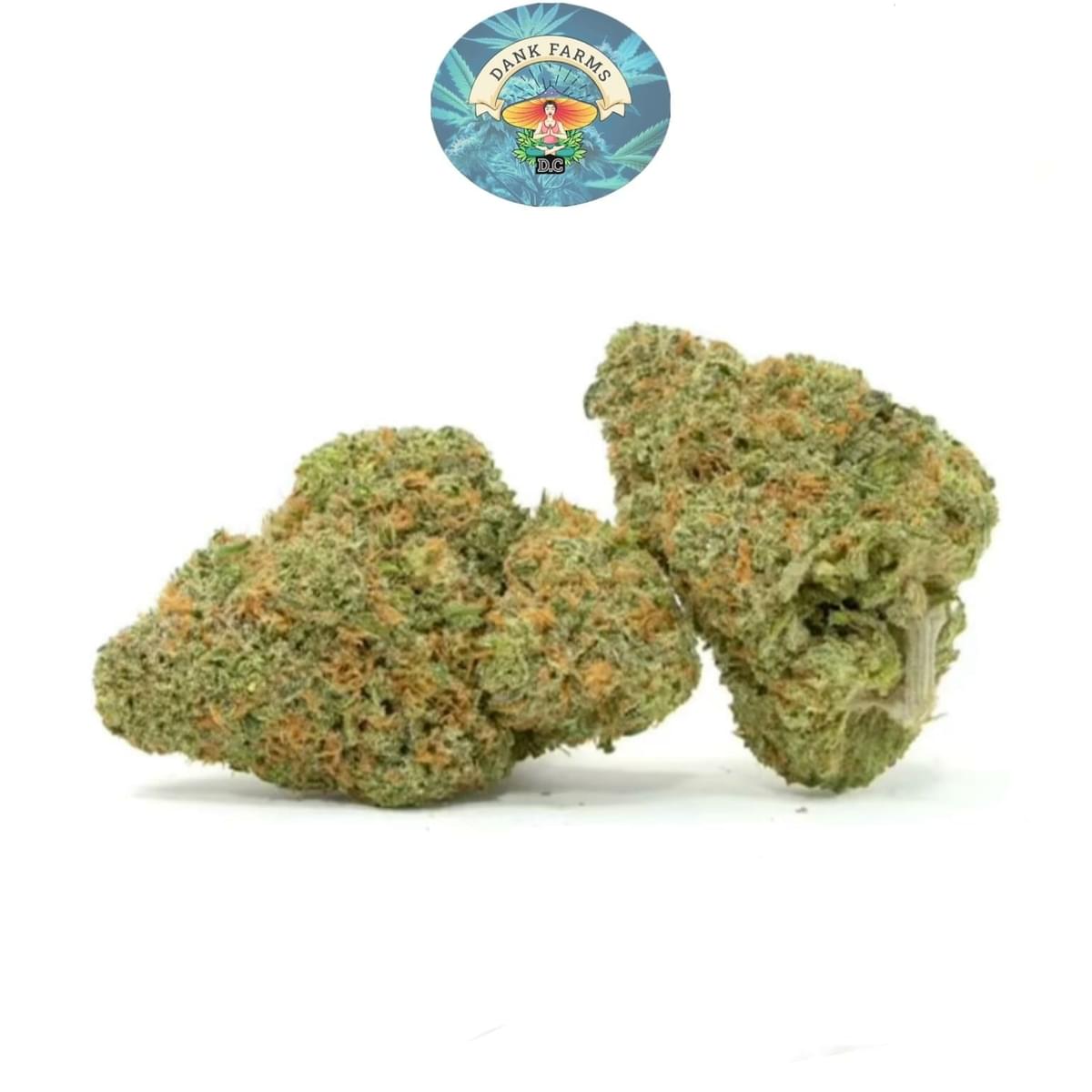 White Rhino (top shelf)