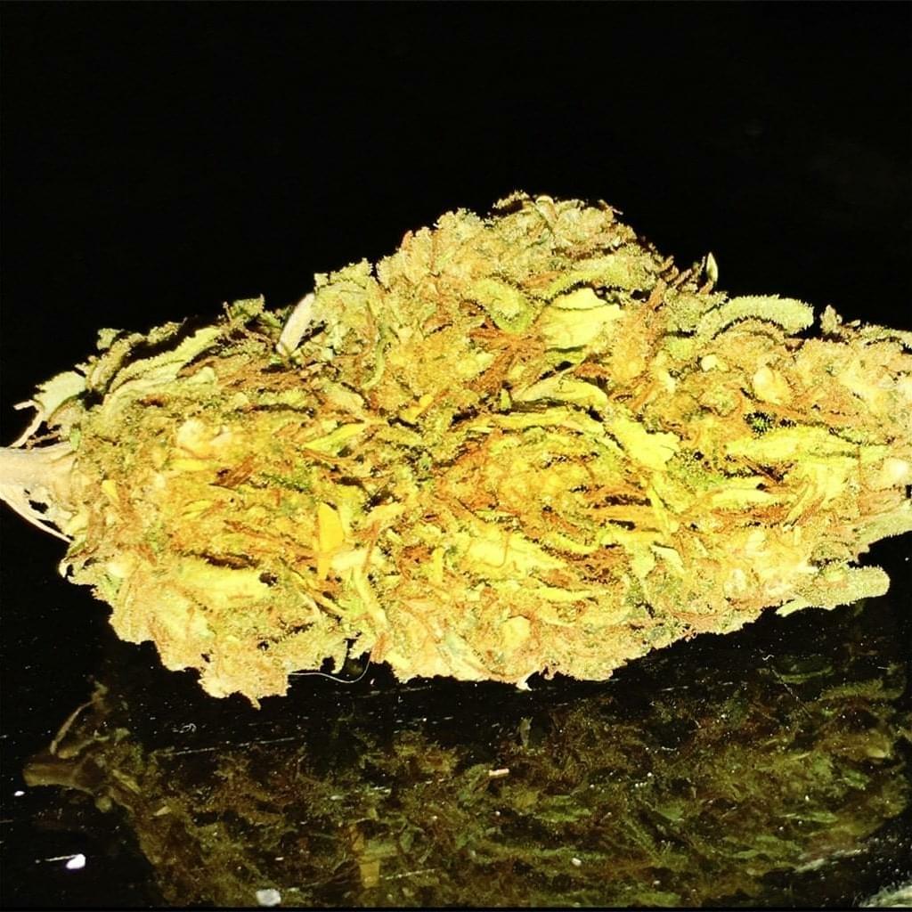 Premium LAUGHING BUDDHA