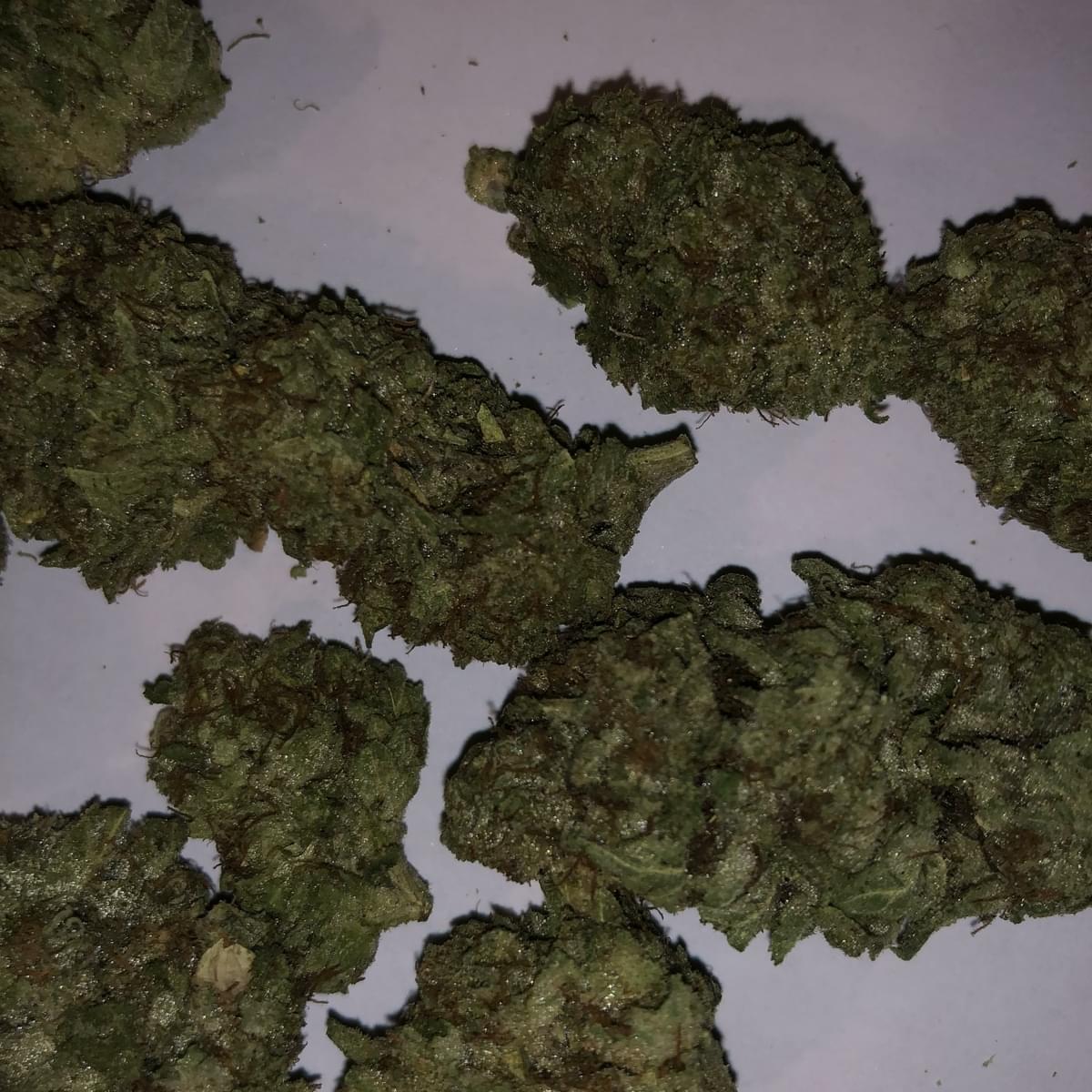 PLATINUM Obama Kush
