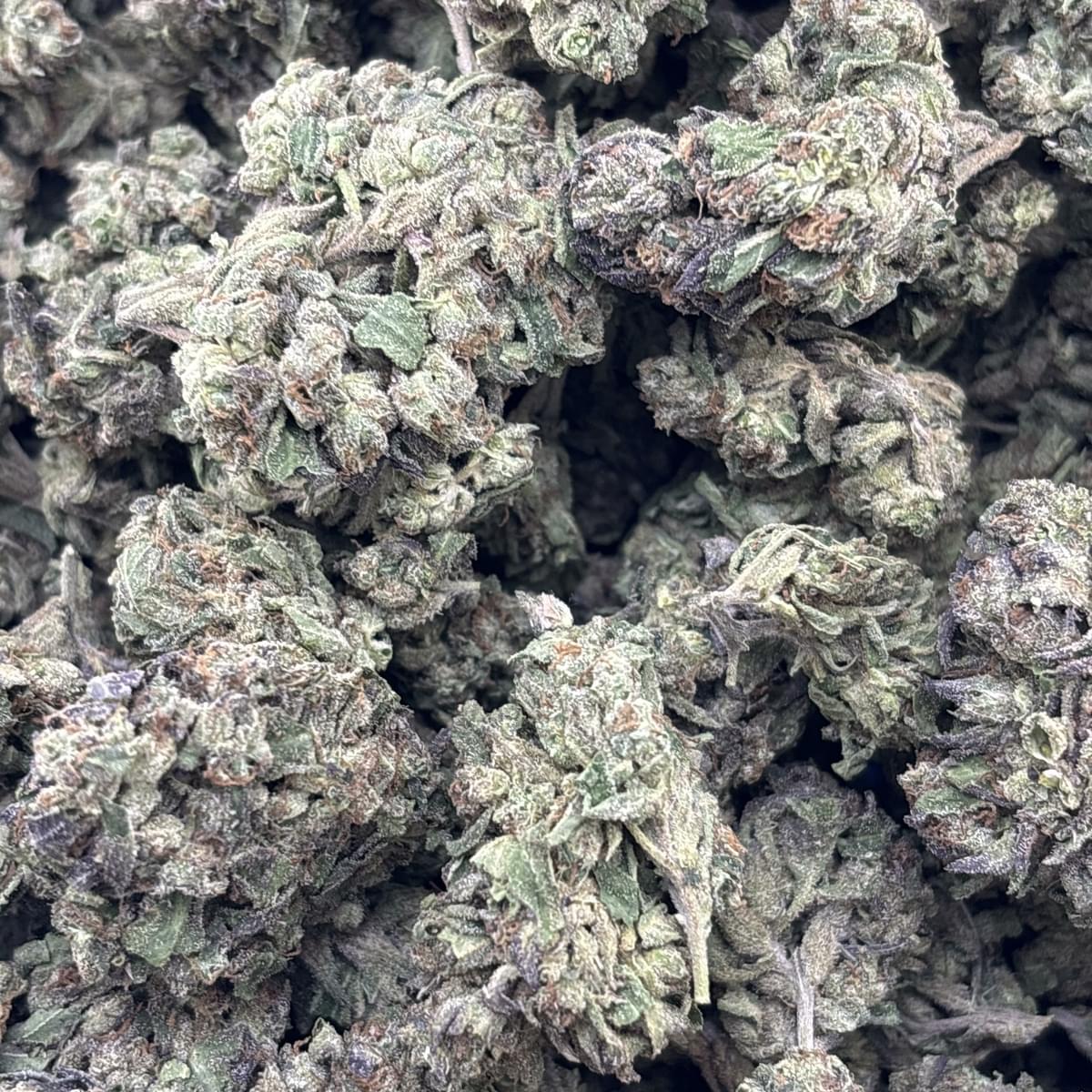 Lemon Cherry Gelato (LA)