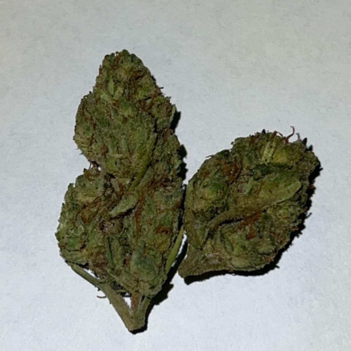 biscotti (premium top shelf)