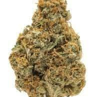 DEVEL FRUIT (PREMIUM)