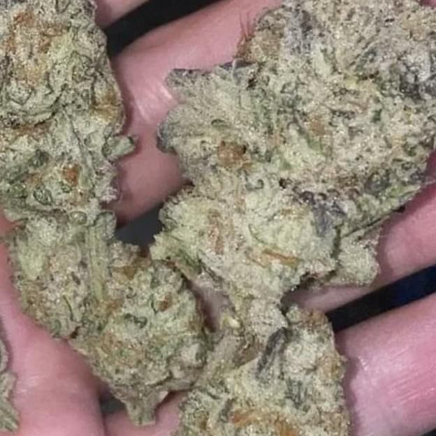 BLUEBERRY CUPCAKE (EXOTIC)