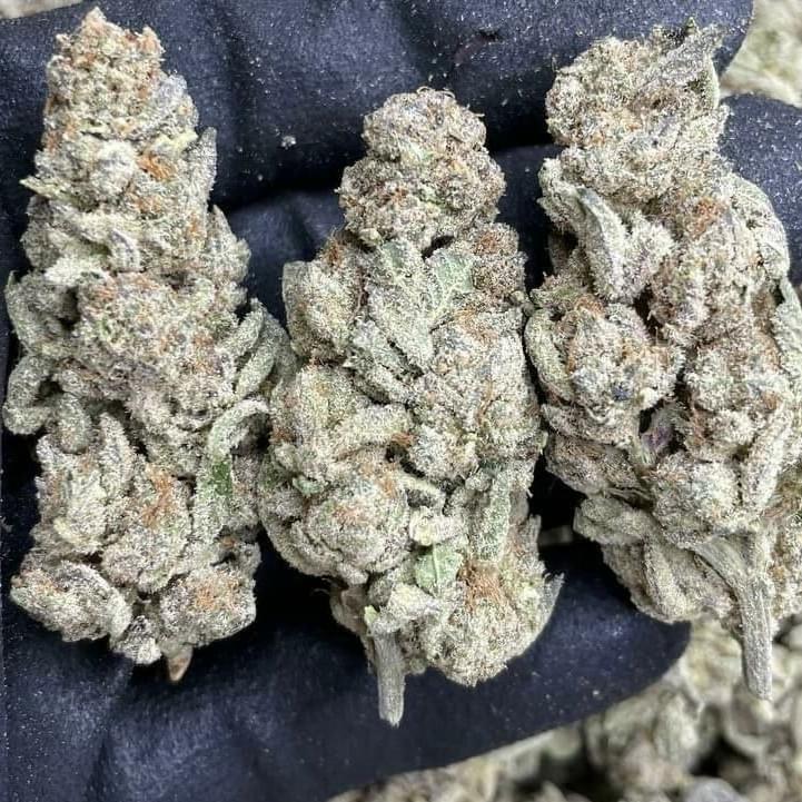 Cherry Diesel +AAA