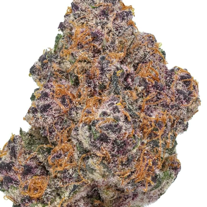 SUPERBOOF (SUPER DESIGNER)