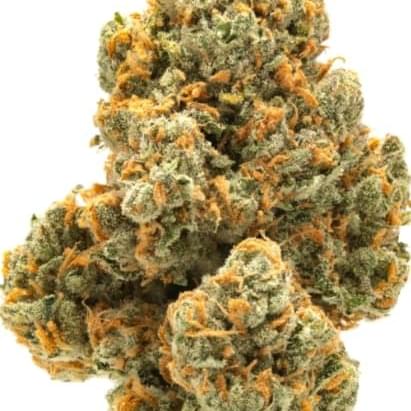 Green Crack (exotic)