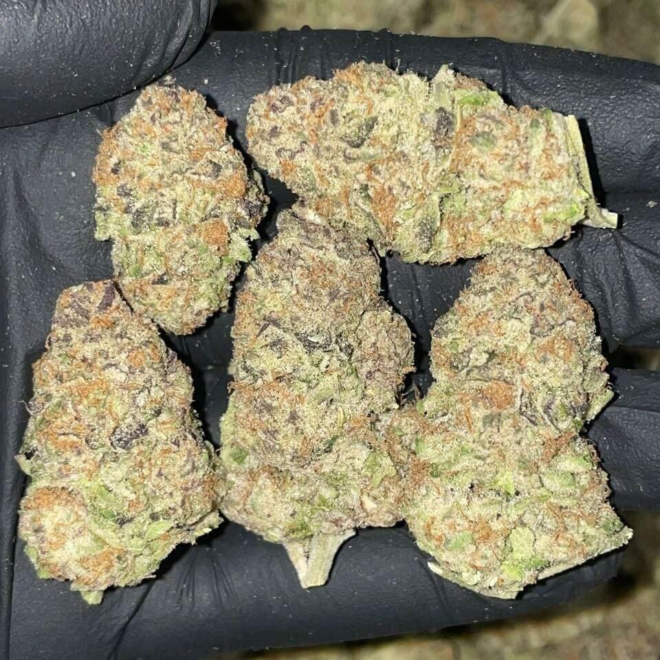 Purple punch