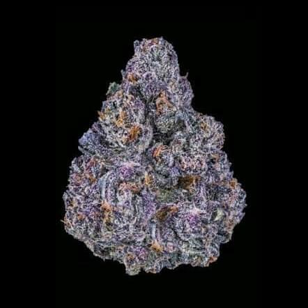 EXOTIC - BLACK RUNTZ