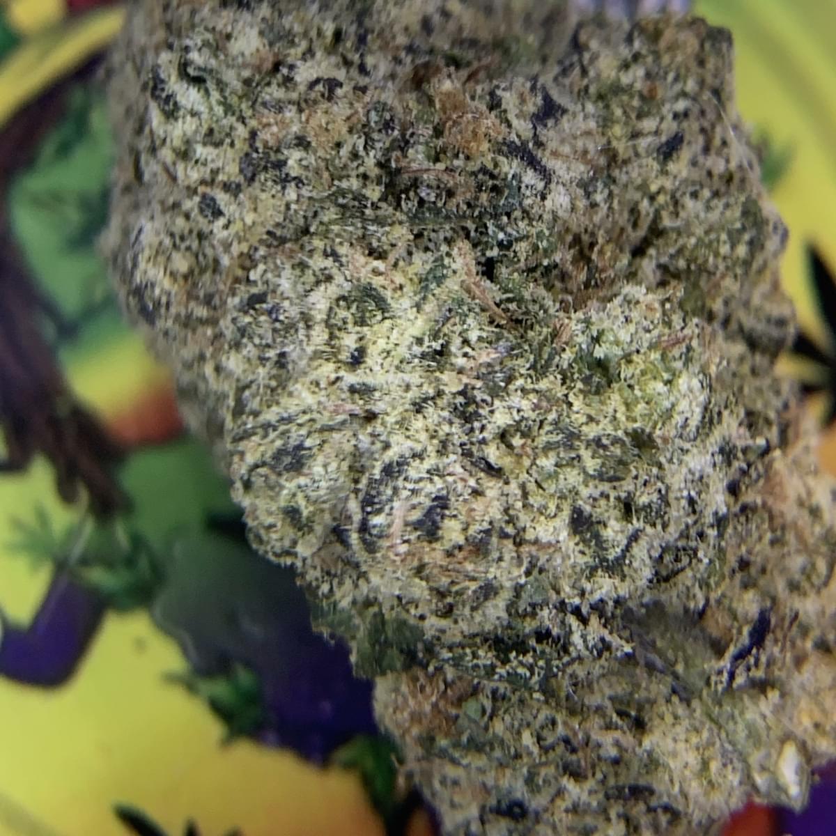 RESERVE- BLACK CHERRY GELATO