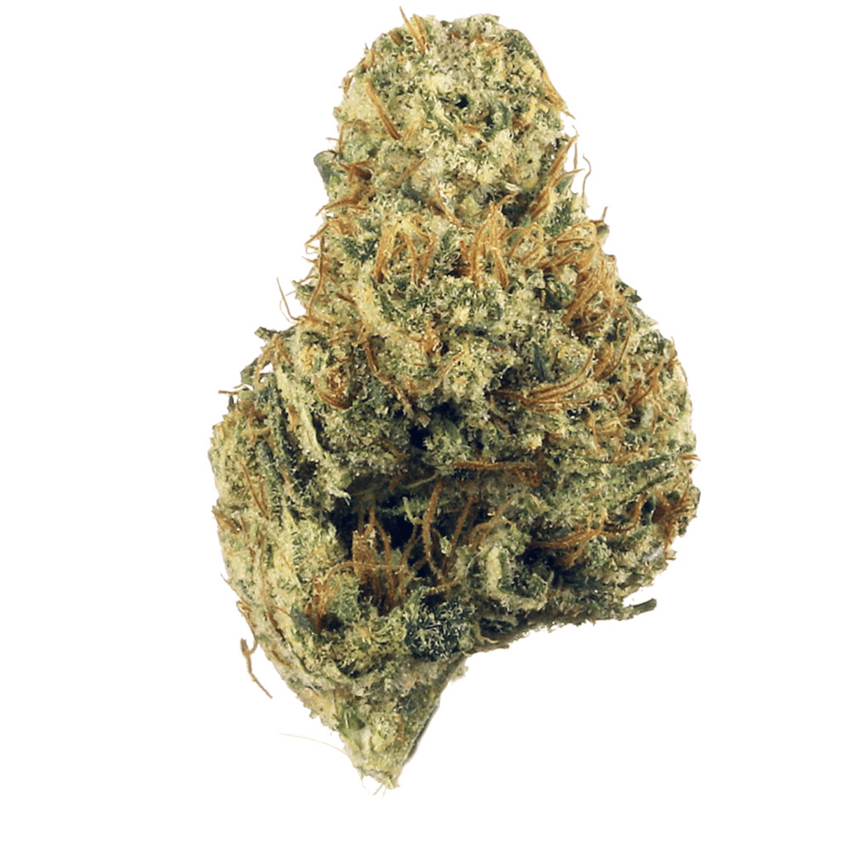 Truffle Butter (Designer)