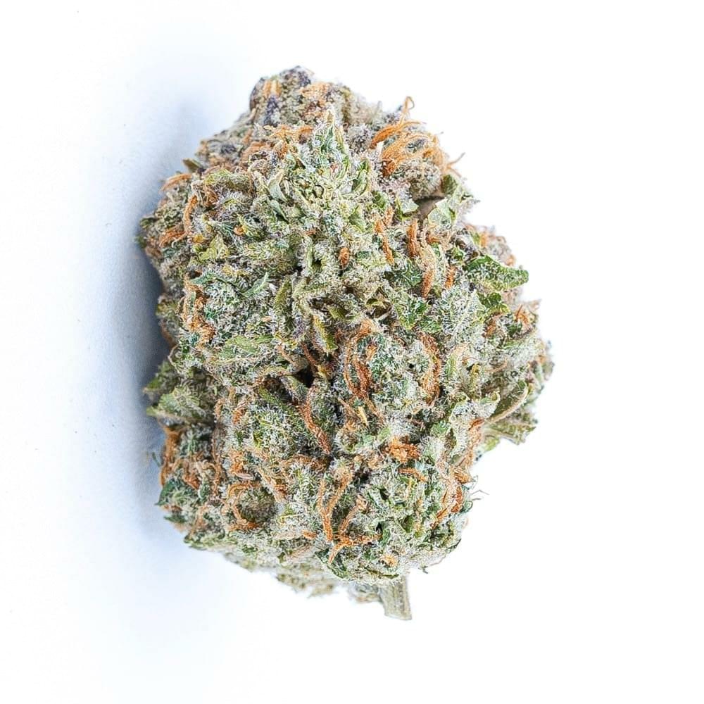 Killer Queen (Top Shelf)