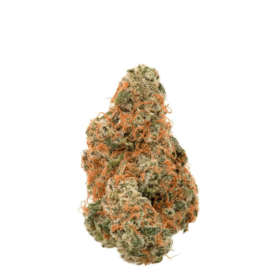 Agent Rose (S) by Green Man