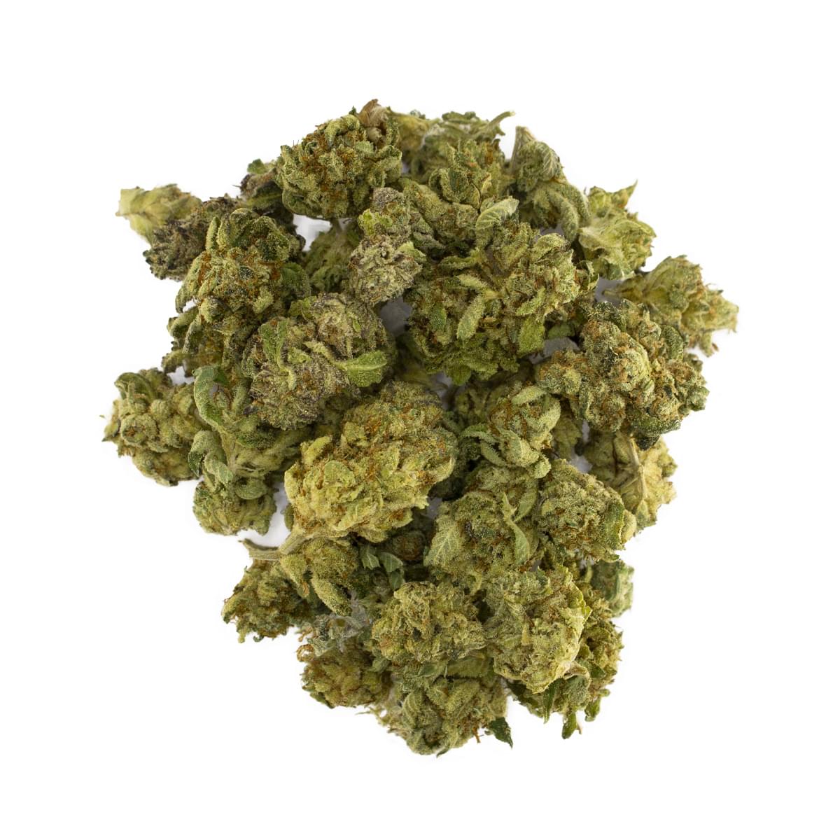 All Time - Neapolitan -