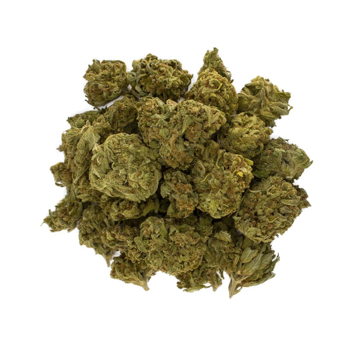 Aster Farms - Blood Orange -