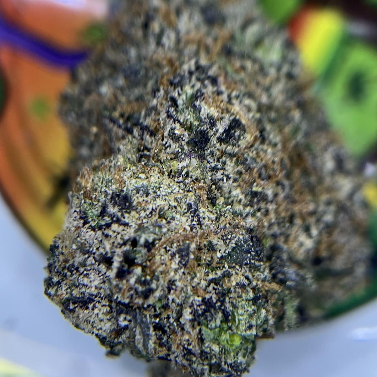 DESIGNER- WHITE BUBBLEGUM GELATO