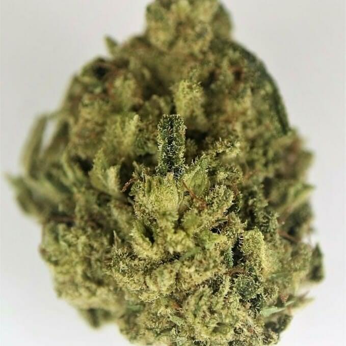 ALIEN XXX OG - 5 GRAMS