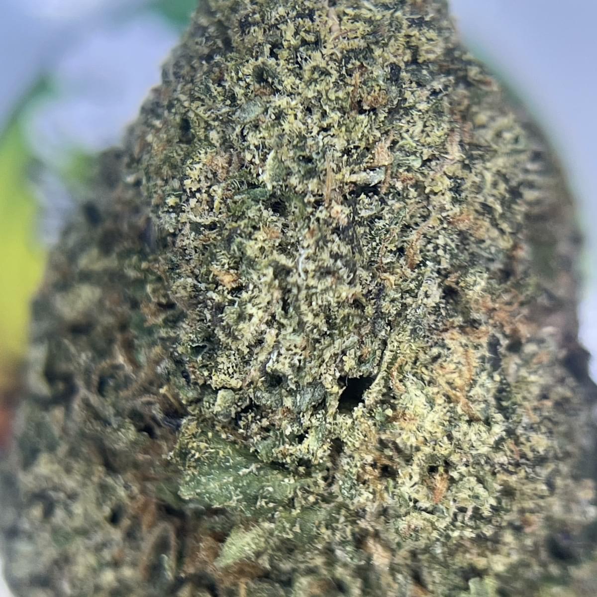 TOP SHELF- GELATO CAKE