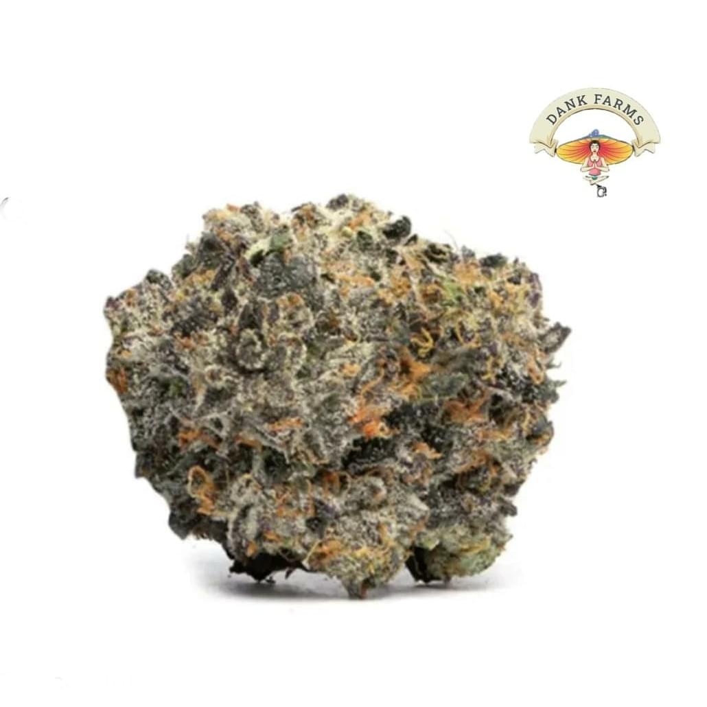 Italian Ice (DESIGNER)