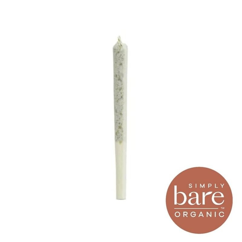 ISLAND PINK KUSH ROSIN INFUSED PRE-ROLL - 0.5