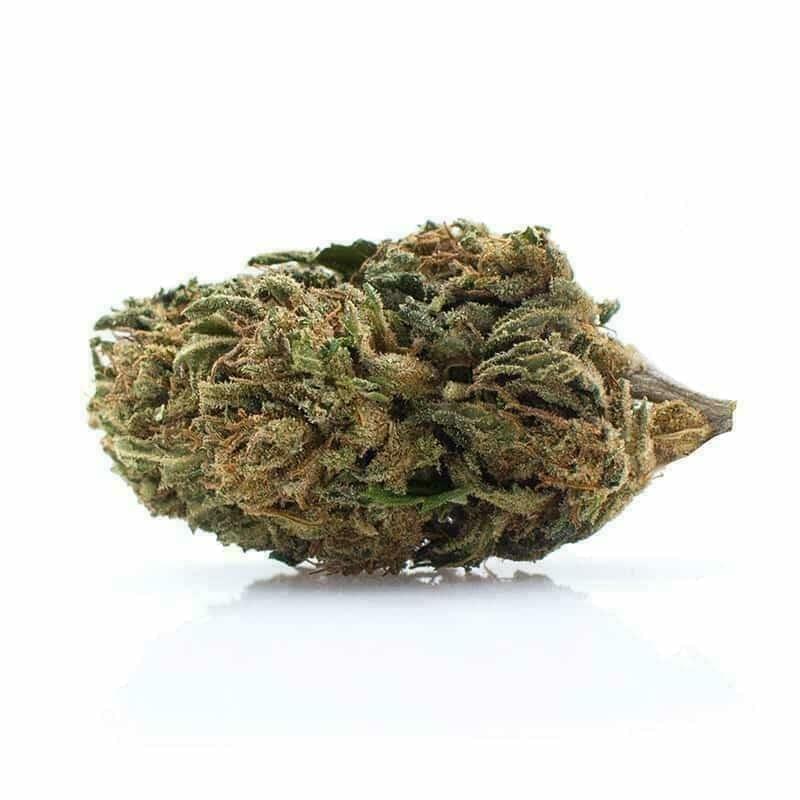 Willie Nelson (top shelf)