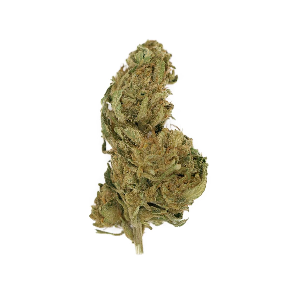 Bloom Farms - Strawberry Fields -