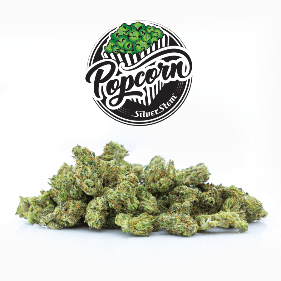 Blue Dream Popcorn | Indica-Hybrid