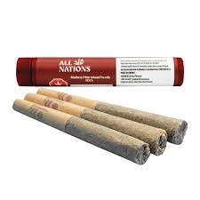 BLUEBERRY FRITTER INFUSED PR | ALL NATIONS | 3 x .5g