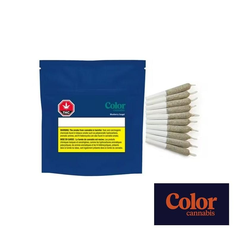 Blueberry Seagal PR 10pk