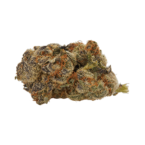 buttonless SINALOA GOLD (ACAPULCO GOLD CROSS) | DELTA 9