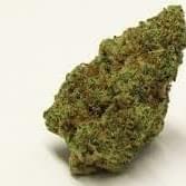 PROJECT 4516 (PREMIUM)