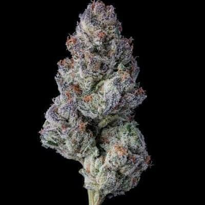 Exotic- Blueberry Caviar