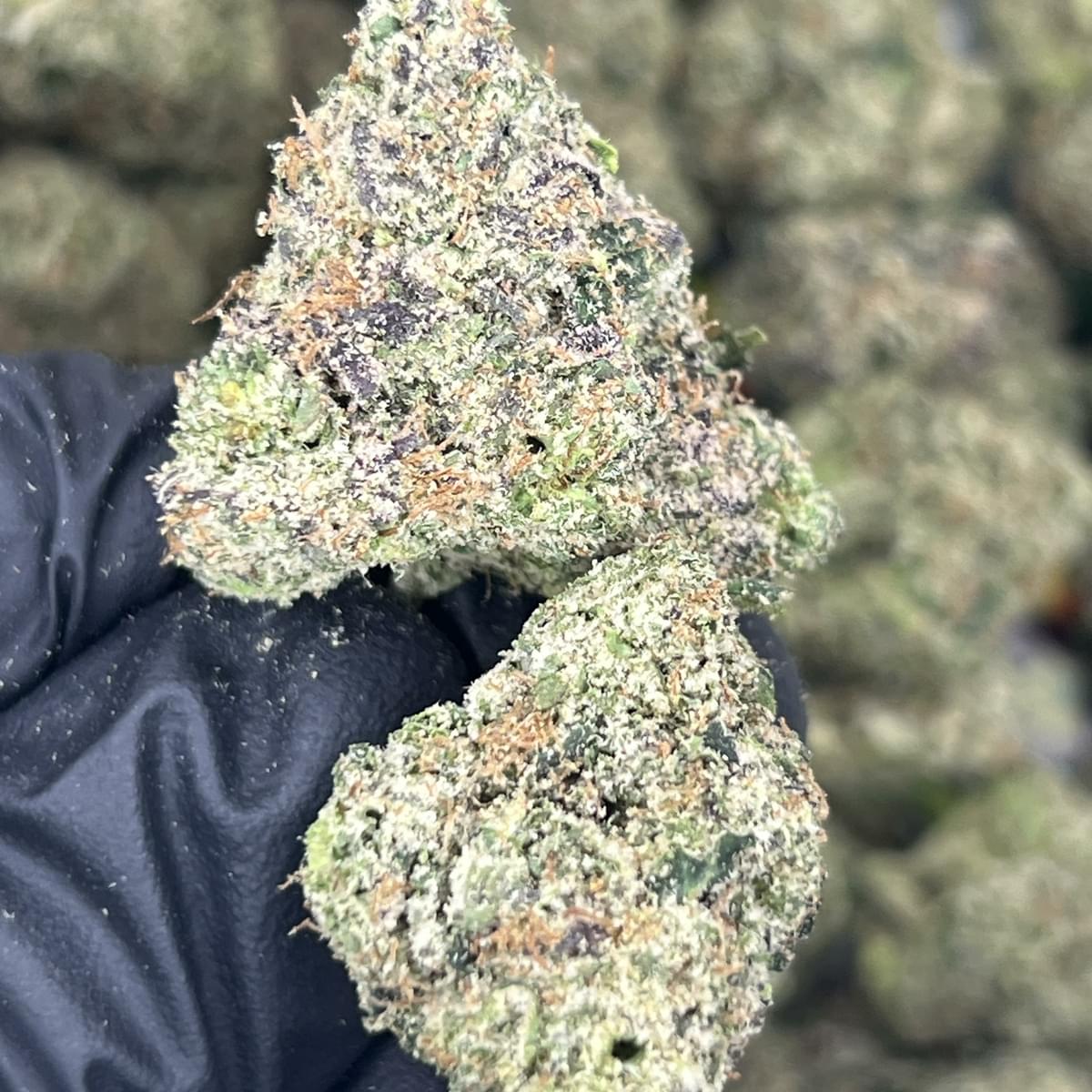 FROZEN CHERRIES (WAKE N BAKE RESERVE)