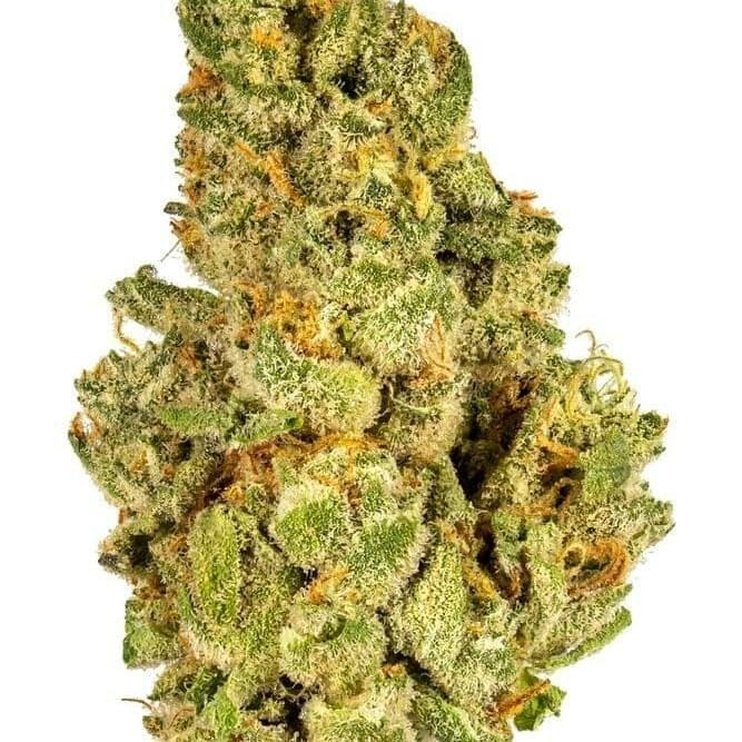 Kush Mints (PREMIUM)