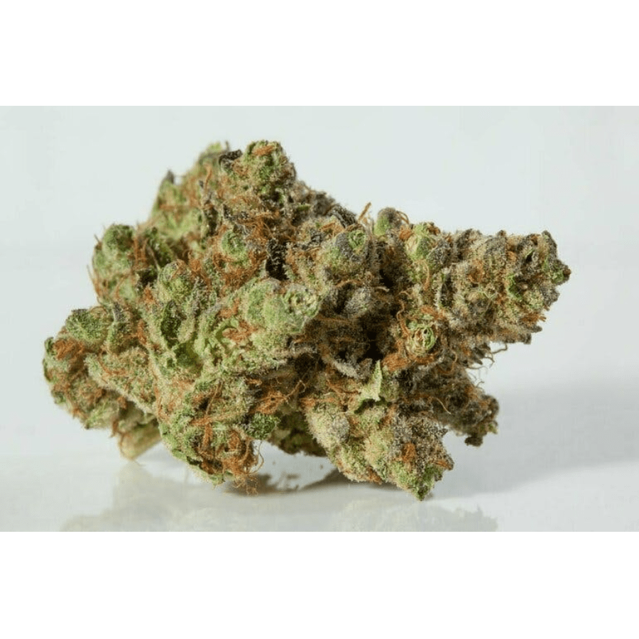 Cake Crasher (H) by Green Man