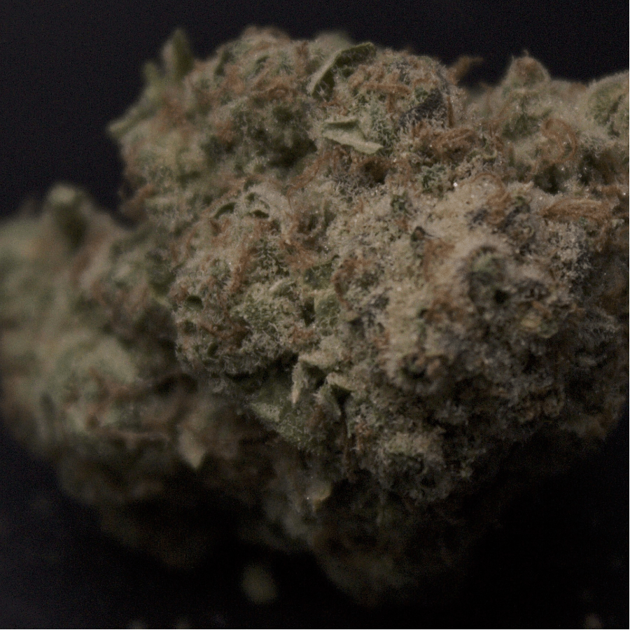 Cannatonic x Chem Dogg