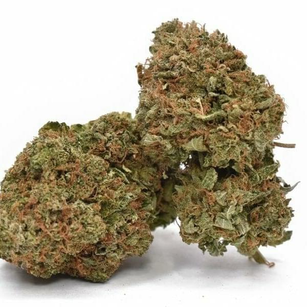 MAC AKA MIRACLE ALIEN COOKIE