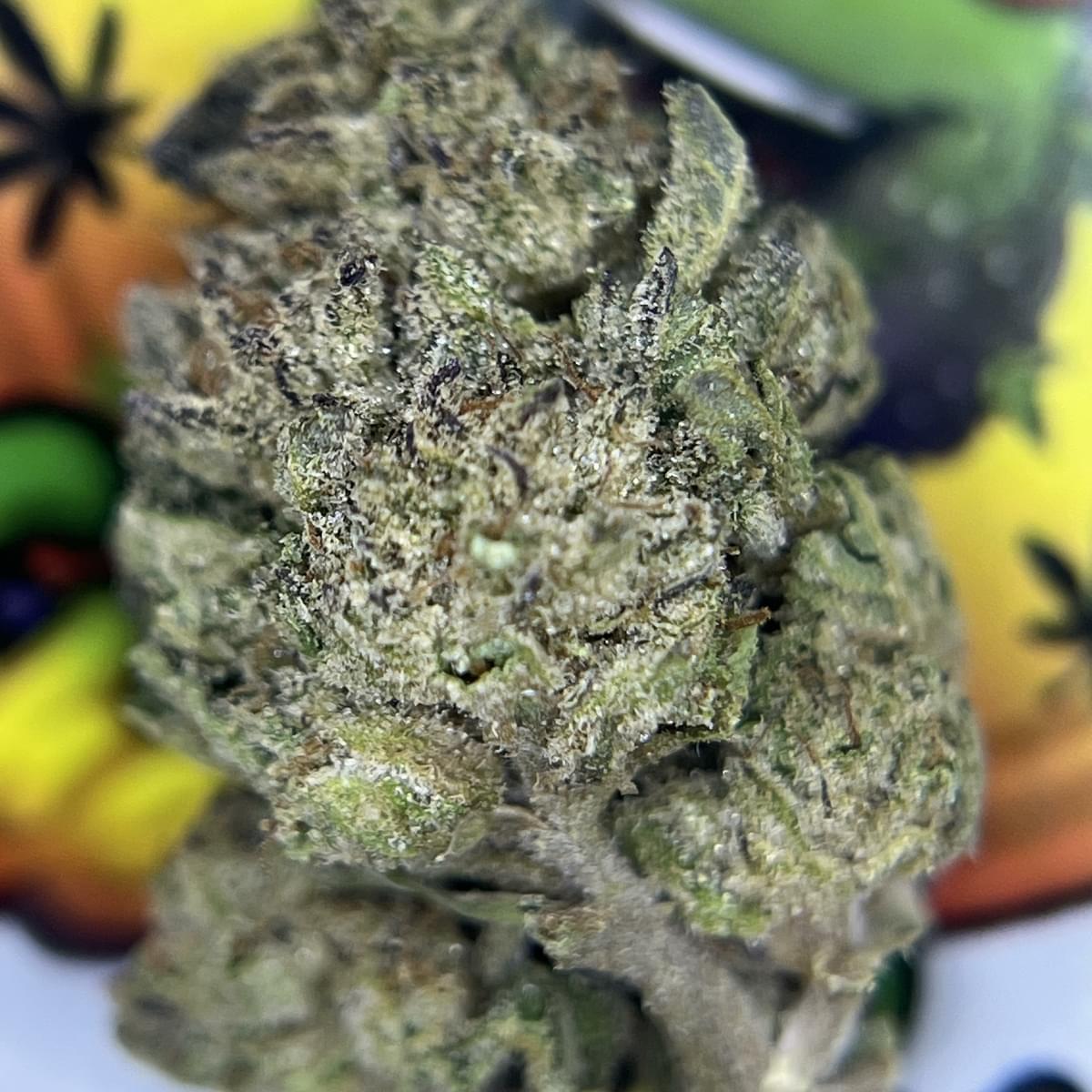 TOPSHELF- OREO BLASTER