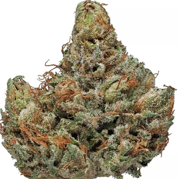 Bubba Kush (A+)