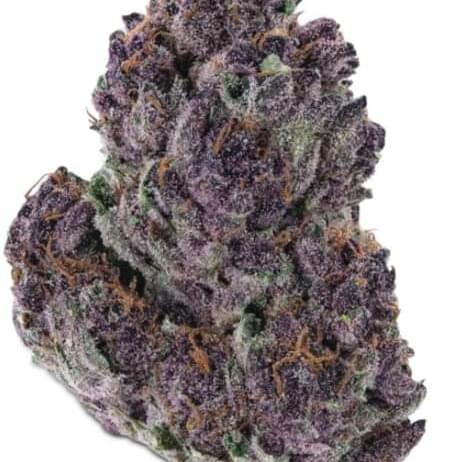 Granddaddy Purple (exotic)