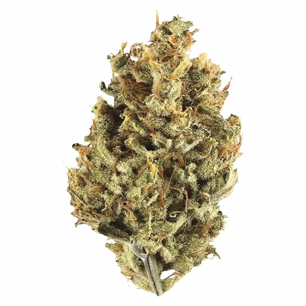 CRANBERRY COUGH | 7g