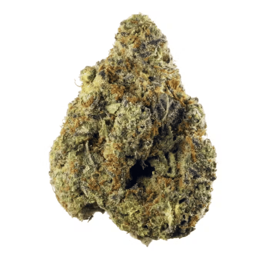 Sugar Black Rose (Exotic)