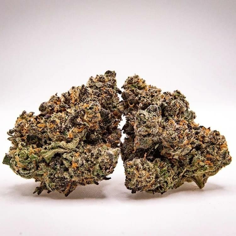 Jealousy Pie- DESIGNER