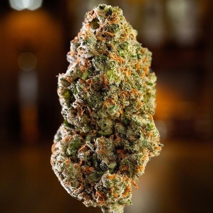 ANGEL CAKE - TOP SHELF
